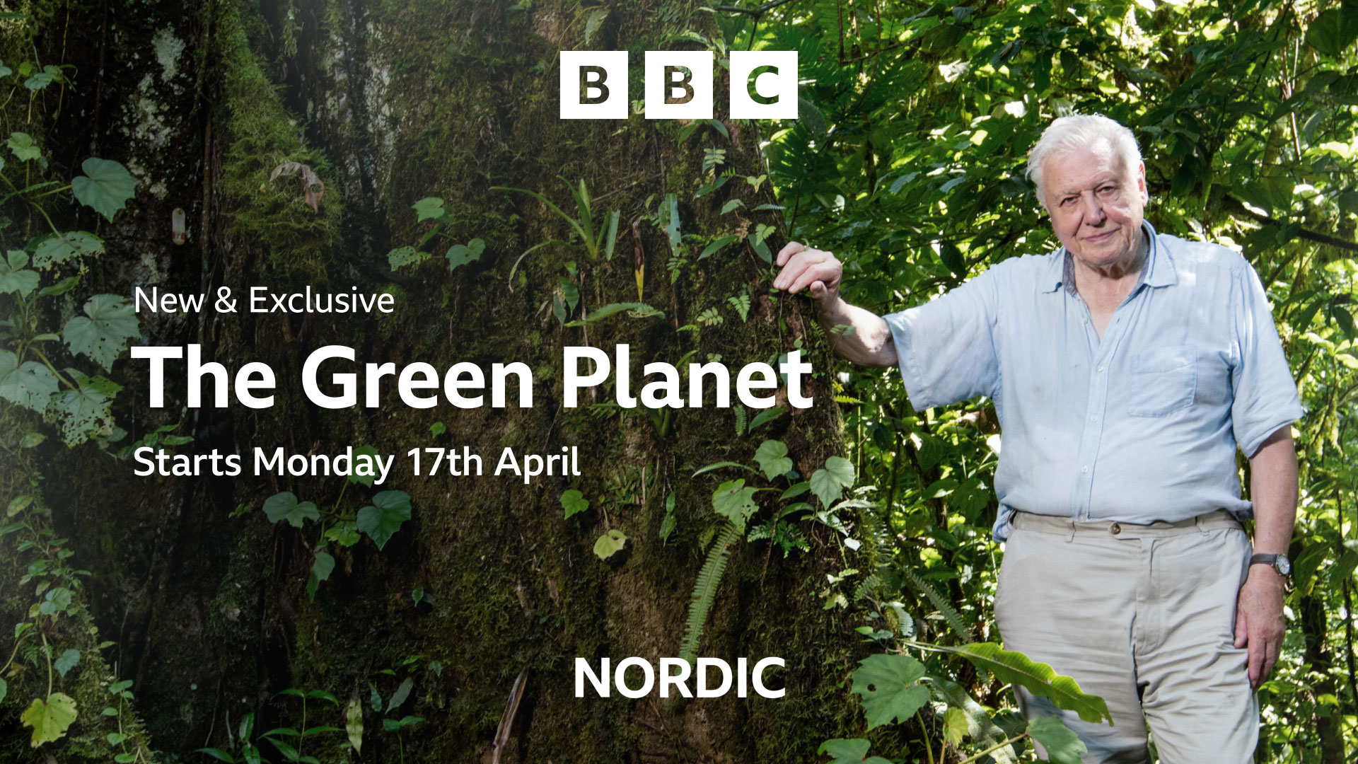 weareseventeen Forge Identity for New BBC Nordic Channel With an Aesthetic Built on the Principles of Light