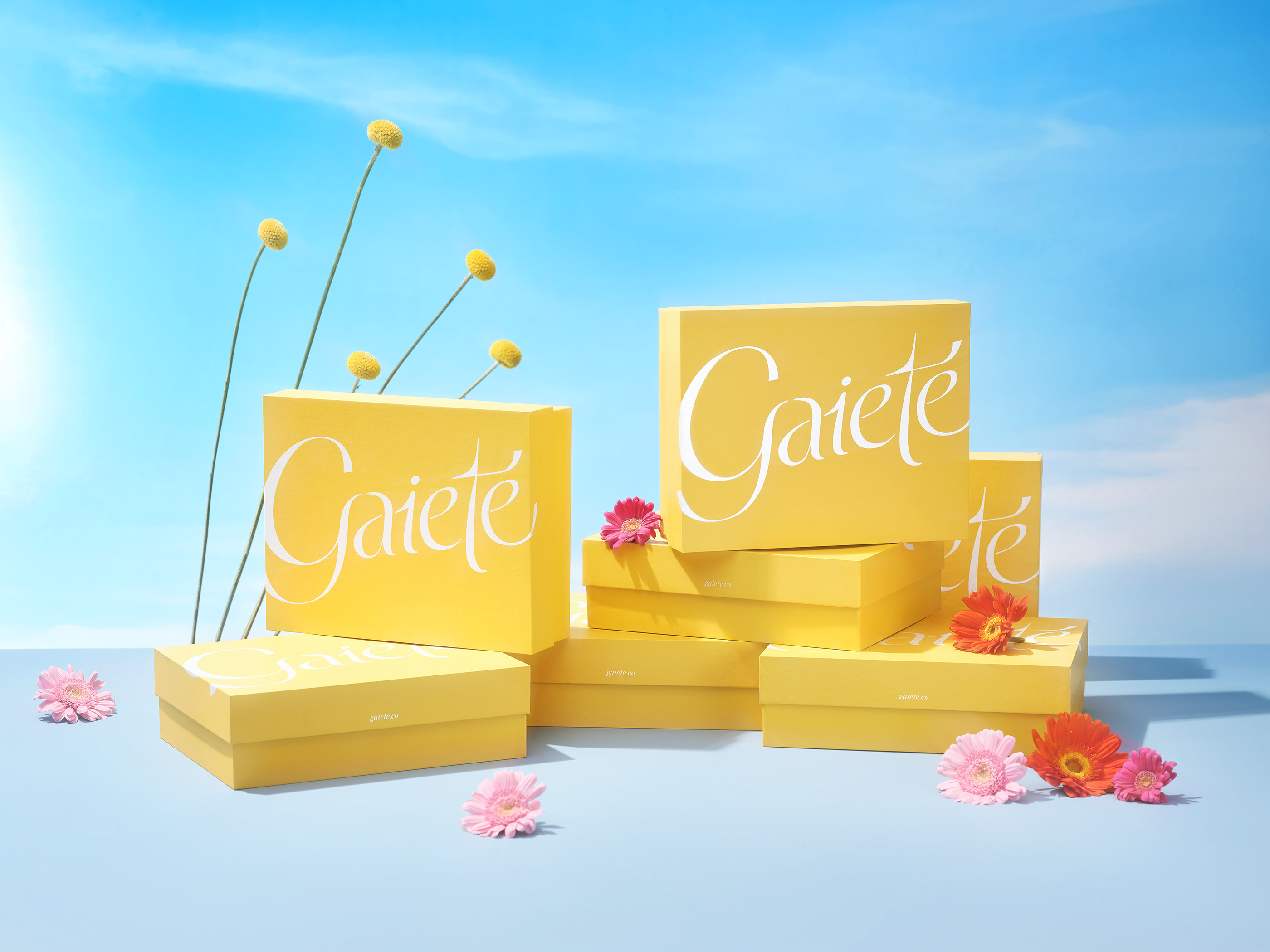 M — N Associates Designed Wonderful Box for Gaieté